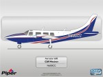 Piper Aerostar 600 N600CC by Scheme Designers