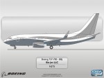Boeing 737-700 N2TS