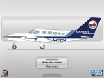 Cessna 402C N991AA by Scheme Designers