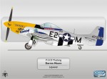 Warbirds P-51 Mustang N5444V by Scheme Designers