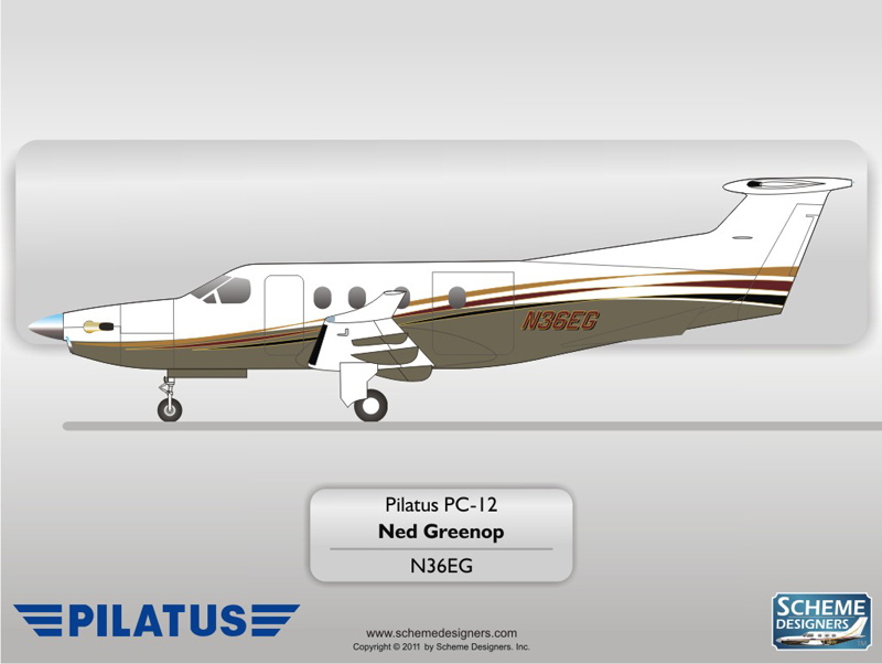 Pilatus PC-12 N36EG